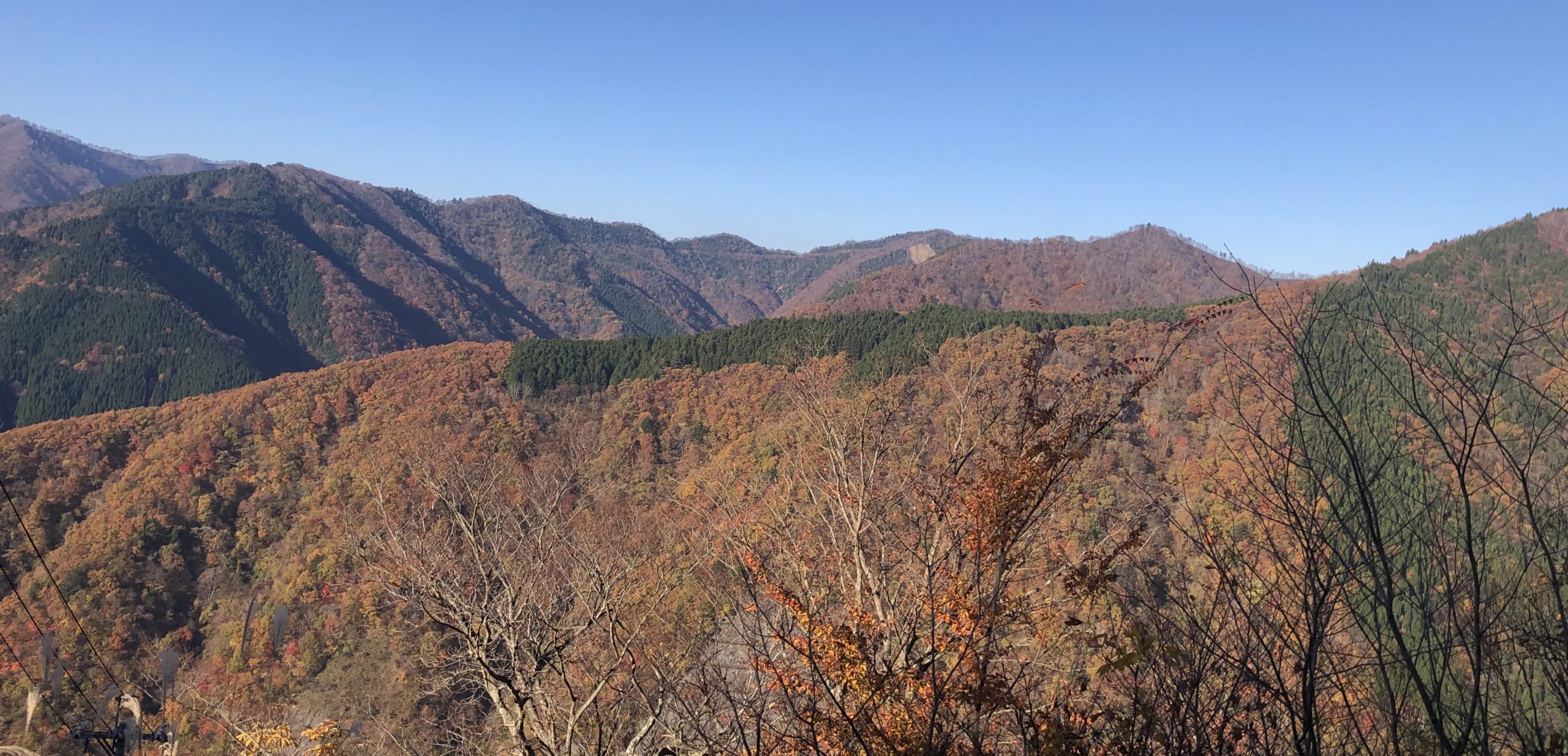 運搬はどこまでできるのか？