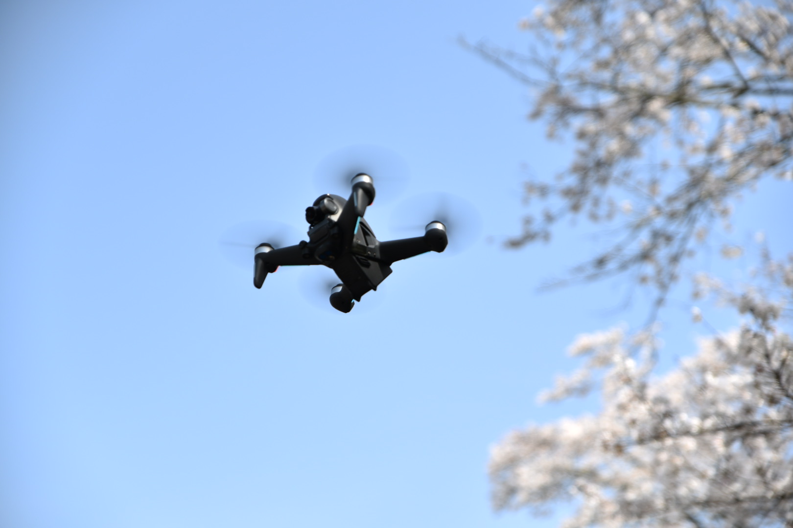 2025年4月施設開放練習日のお知らせ