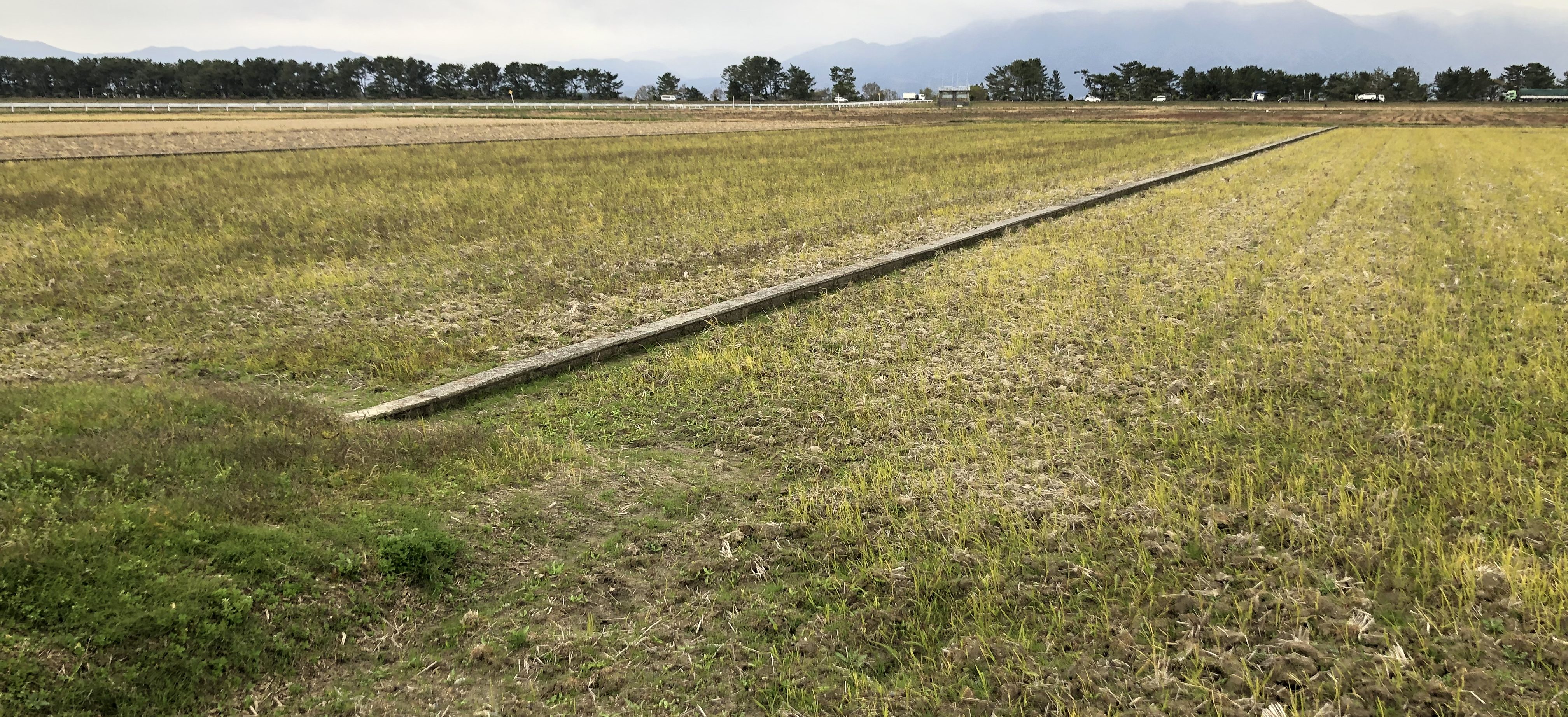 ドローンを使った農業支援サービススタート