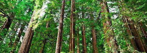 高山でドローン愛好家のためのツアーが！！