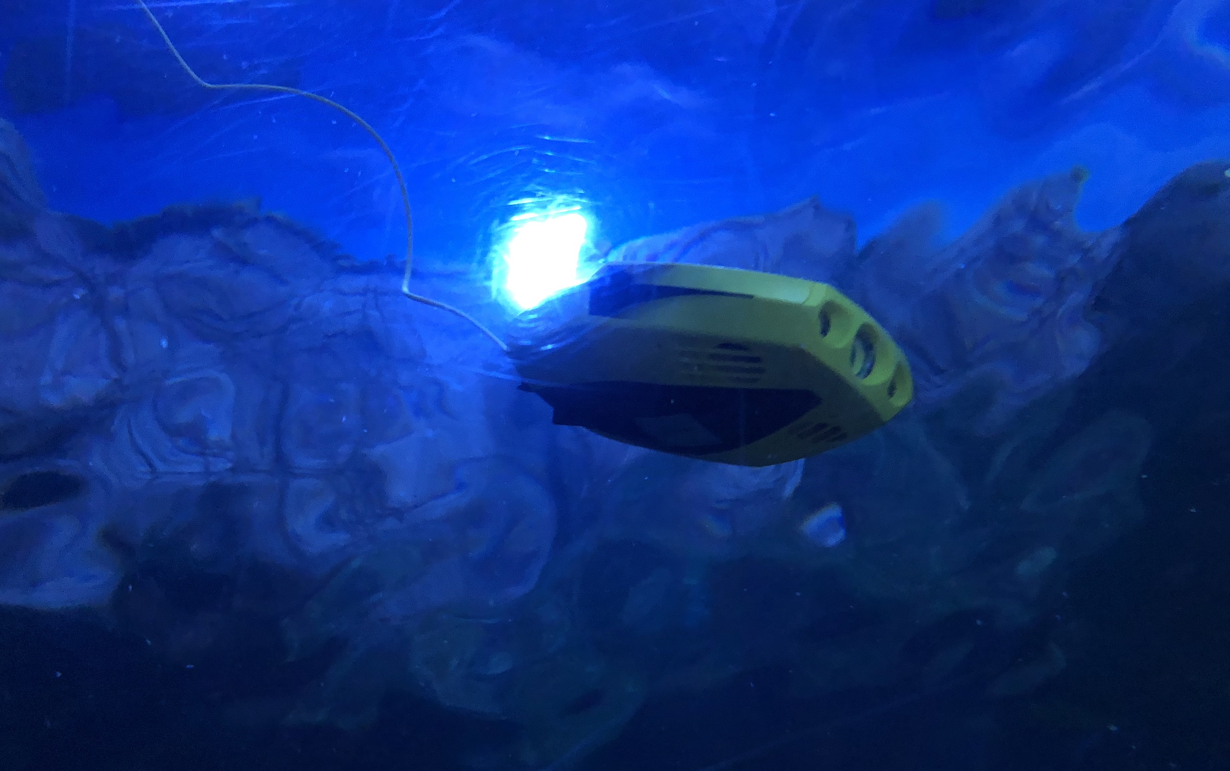 日本水中ドローン協会が新聞に載りました！！