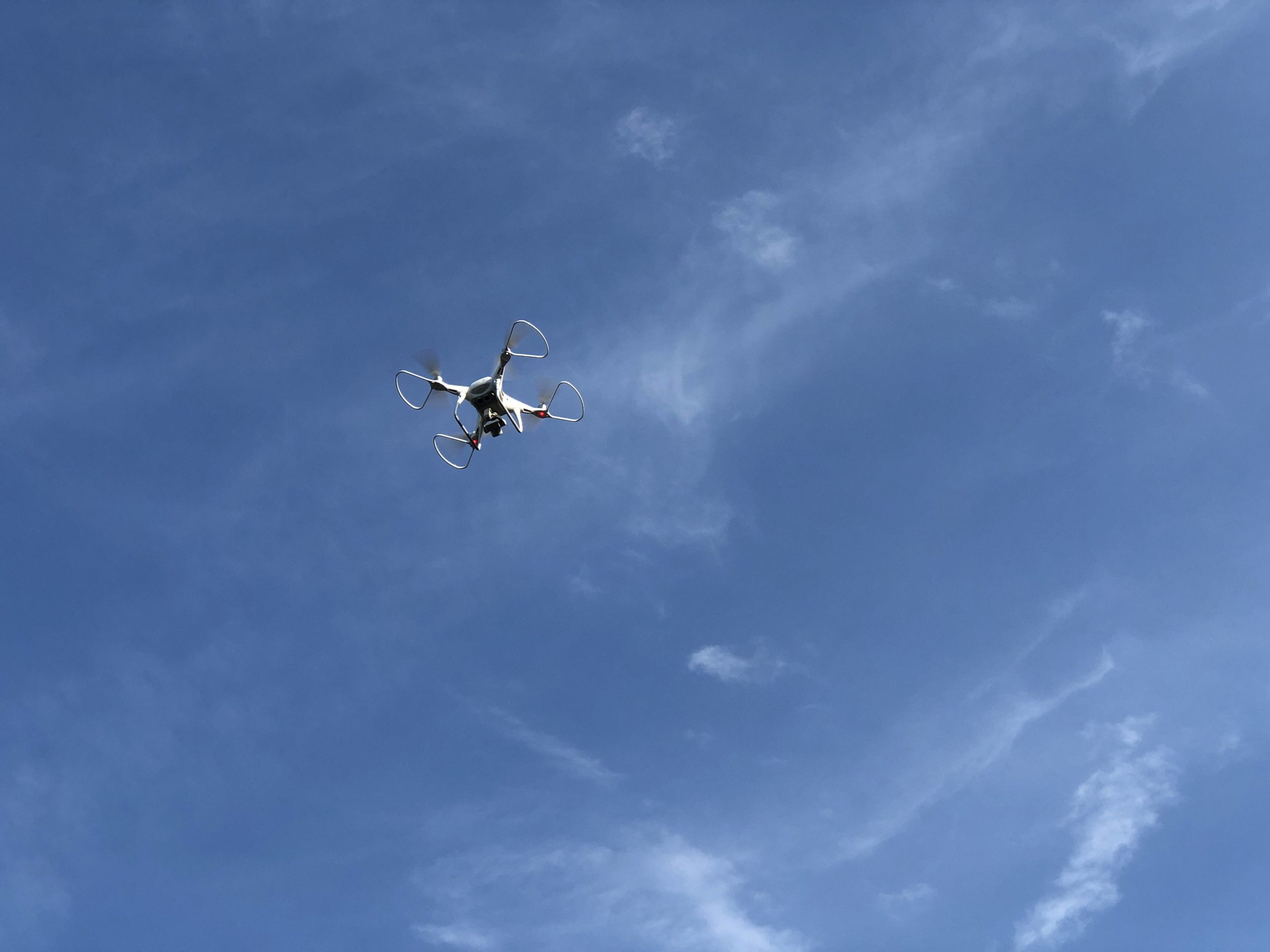 この会社も動いているのか、、、