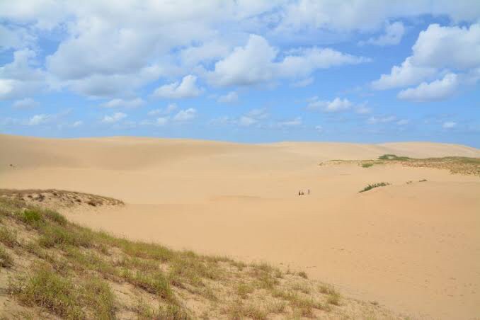 砂丘でドローンが飛ぶぜ