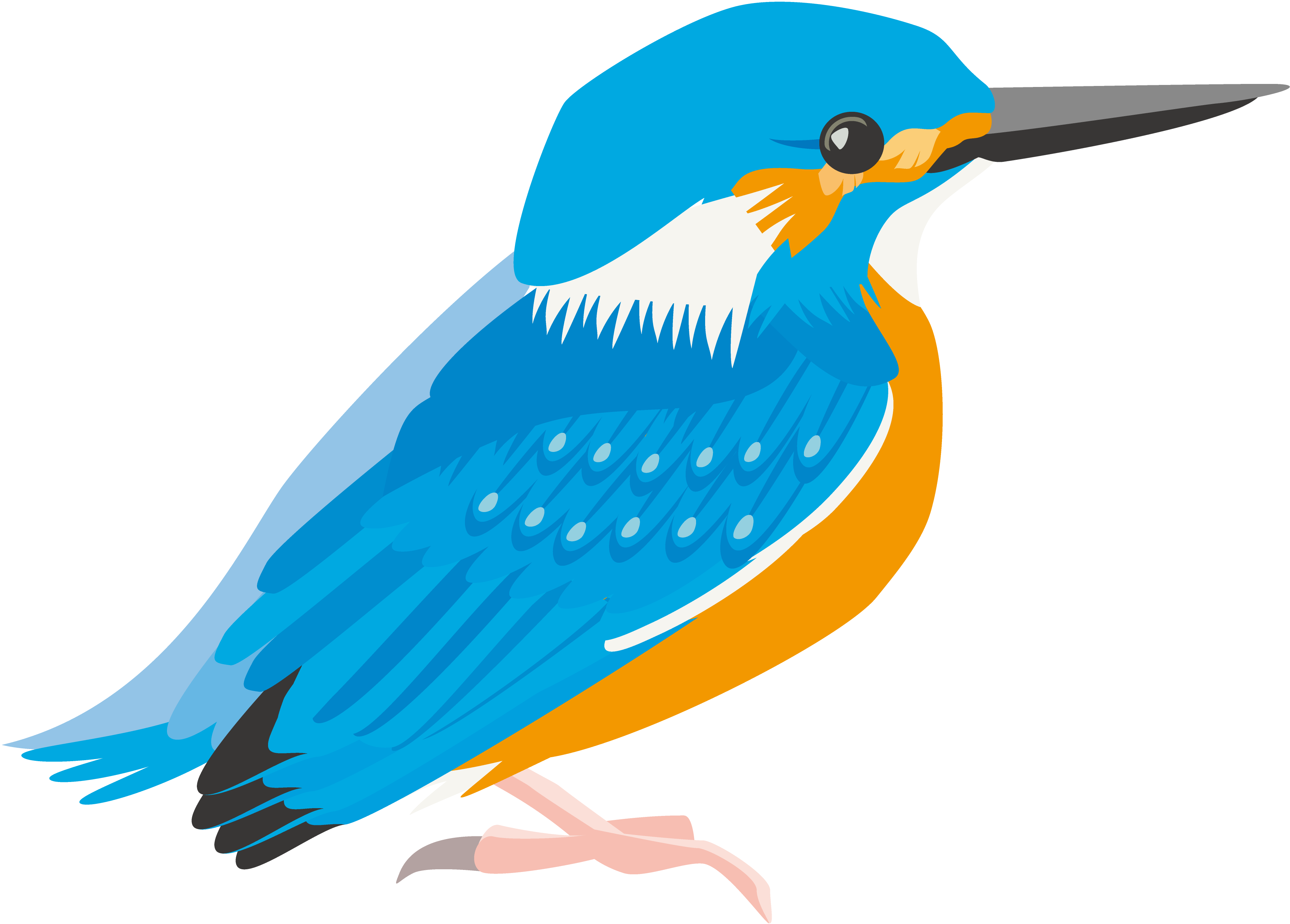 鳥獣害駆除の助け？