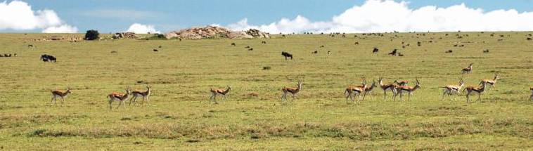 海外のドローン物流（空輸）への取り組み