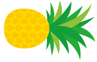 パイナップルドローン！？