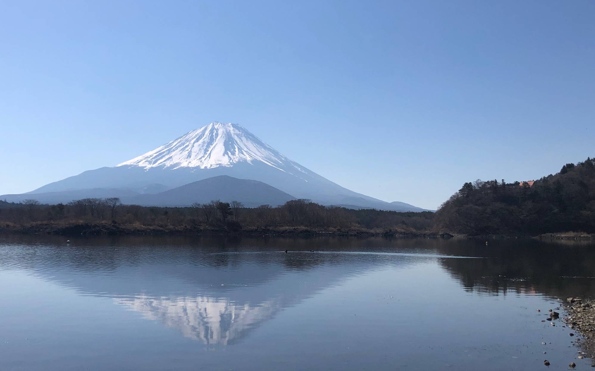 研修で富士山に行ってきました！