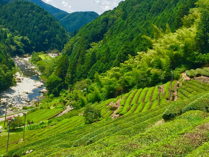 災害時の山間部集落支援