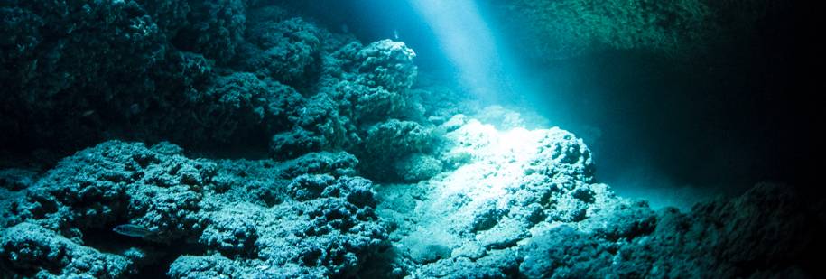 赤潮調査もドローンで！！